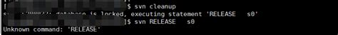 Svn E Database Is Locked Executing Statement Release S