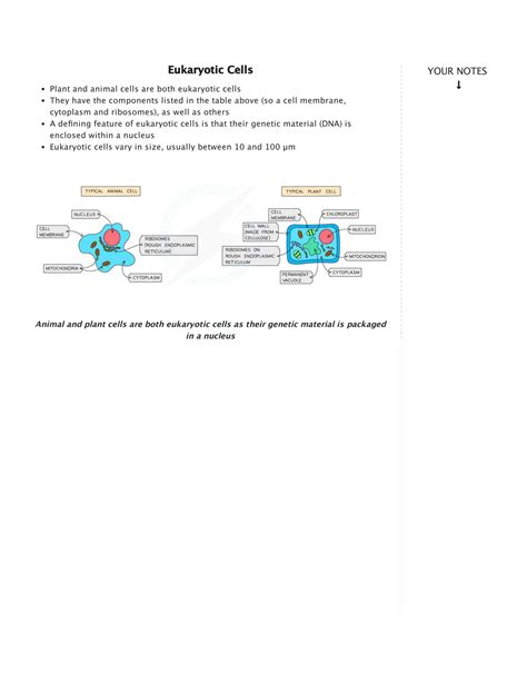 Solution Aqa Gcse Biology Cell Structure Notes Studypool