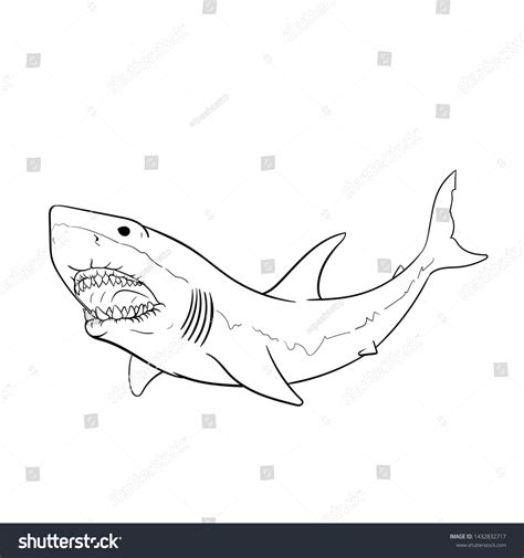 Great White Shark Hand Drawing Vintage Stock Vector (Royalty Free ...