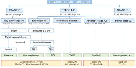 Bclc Barcelona Clinic Liver Cancer Ps Performance Status N Node Download Scientific Diagram