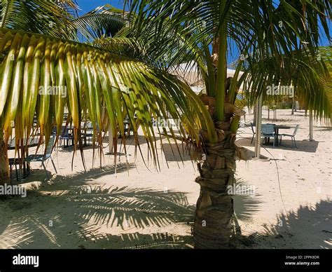 White Sand Beach And Ocean Hi Res Stock Photography And Images Alamy