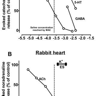 Effect Of Halothane On Evoked Catecholamine Release In Bovine Adrenal