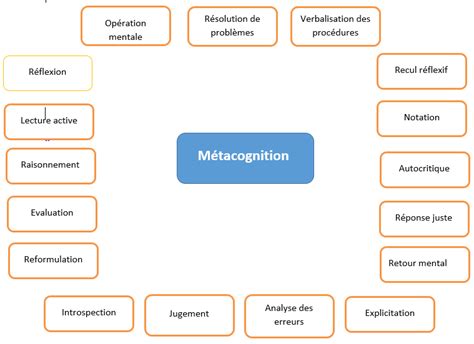 ActivitÉs Metacognitives