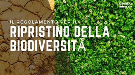 La Natura Ha Vinto L Europa Approva Il Regolamento Per Il Ripristino