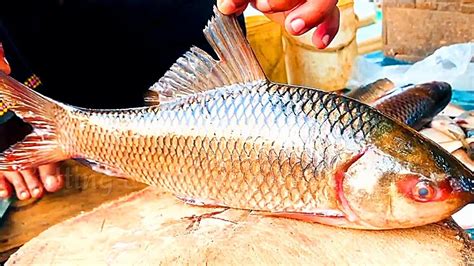 Amazing Big Rohu Fish Cutting Skills Incredible Live Rohu Fish