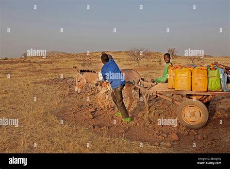 Collecting water, Burkina Faso, Africa Stock Photo - Alamy