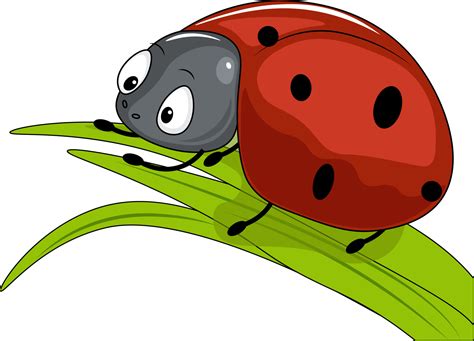 Ladybug Illustration On Green Leaf 22585399 Vector Art At Vecteezy