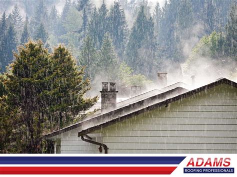 The 4 Important Storm Damage Prevention Tips To Keep In Mind