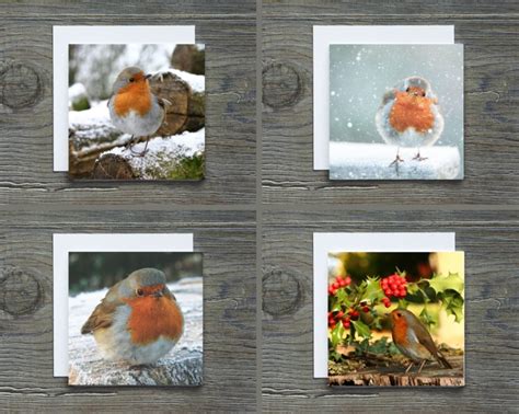 Unique Christmas Cards Putman And Robins Shop