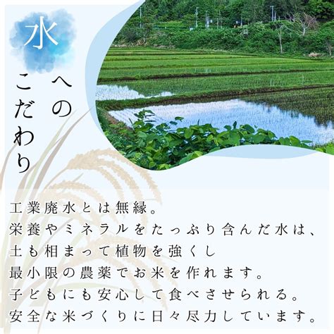 【楽天市場】【ふるさと納税】令和6年産 新米 おたる木露ファーム ゆめぴりか 玄米 1合 ～ 5合 150g ～ 750g 米 ごはん