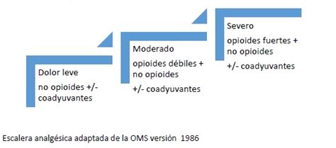 Departamento De Medicina Del Dolor Y Paliativa INCMNSZ