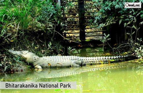 Bhitarkanika National Park