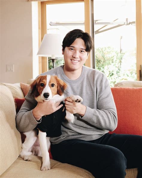 あの犬の名は「デコピン」大谷翔平選手が明かし、mlbも速報 ドジャース入団会見で：東京新聞デジタル