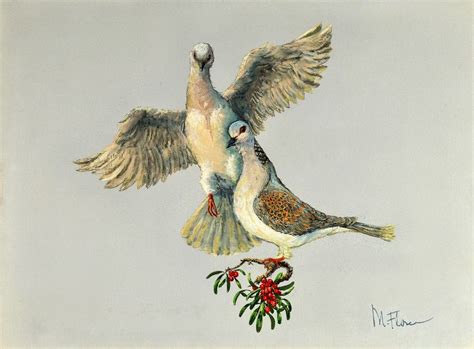 Two Turtle Doves