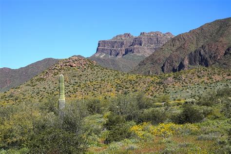 Stan's Travels: Gold Canyon, AZ (3/25/2019)