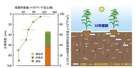 沈阳农大丁凡在地膜（微）塑料残留与环境响应方面取得系列进展