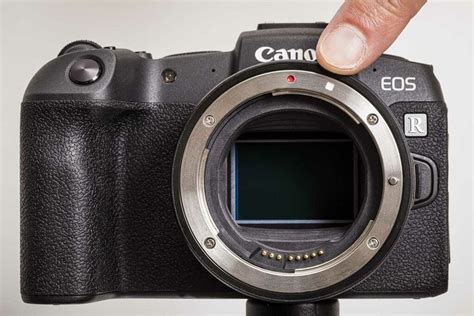 How To Set Up And Use The Canon EF To RF Mount Adapter Camera Jabber