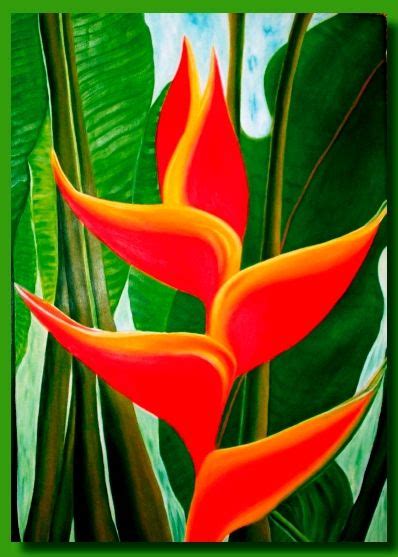 Heliconia Arte Tropical Pinturas Acuarela