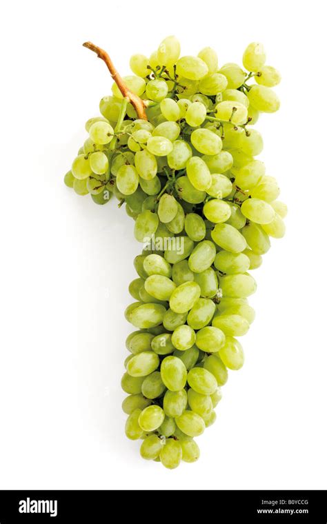 Green grape photo hi-res stock photography and images - Alamy