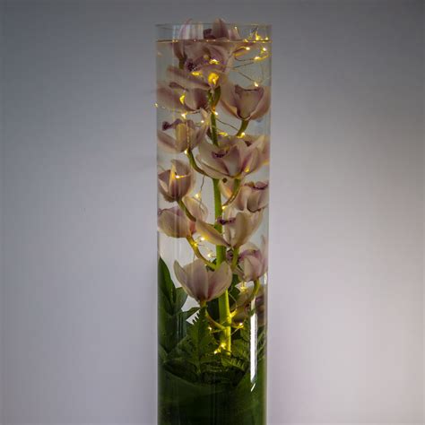 Orchids In Glass Cylinder Vase Luda Flower Salon