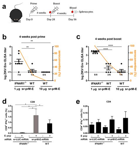 Vaccines Free Full Text Immunogenicity And Protection Efficacy Of A