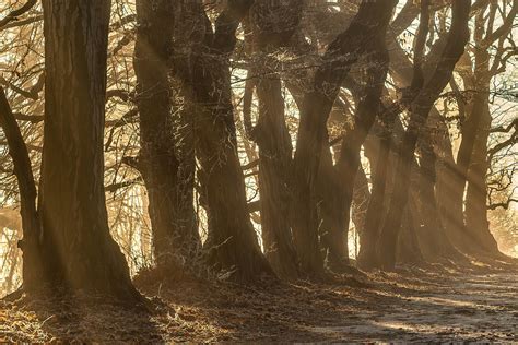 A walk in the park - part II on Behance