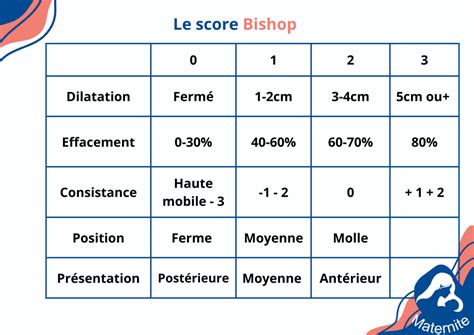 Tout Savoir Sur Le Score De Bishop Maternite