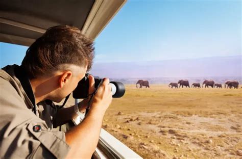 15 Wildlife And Safari Photography Tips Riviera Travel