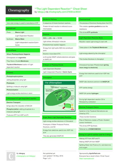 Equation For Light Dependent Reaction Tessshebaylo