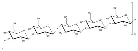 Processes Free Full Text Biotechnological Addition Of Glucans