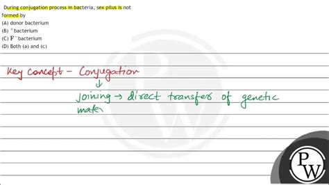 During Conjugation Process In Bacteria Sex Pilus Is Not Formed By A Donor Bacterium B