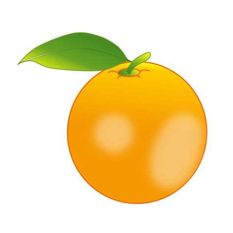 Orange Fruit Clip Art | Clip art, Orange fruit, Fruit