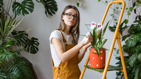 5 Remedios Caseros Y Sus Recetas Para Cuidar Tus Plantas — Fmdos