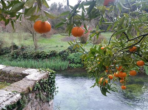 Giornate Fai A Latina Il E Apre La Ninfa Mai Vista Percorso Al Di L Delle Mura