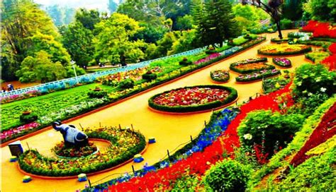 5 Most Beautiful Botanical Gardens To Visit In India