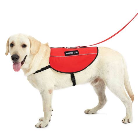 Service Dog & Emotional Support Dog Shop: Vests / Harnesses | USA ...