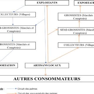 Circuit De Commercialisation Des Palmes Et Ses Sous Produits