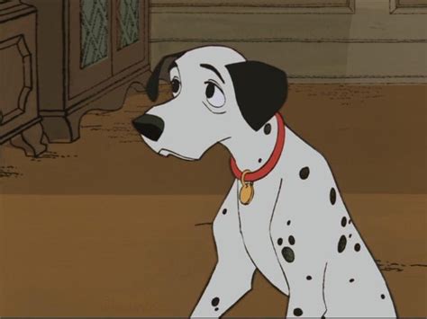 101 Dalmatians - 101 Dalmatians Image (4755139) - Fanpop