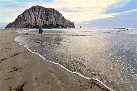 30 Pictures That Will Make You Want To Visit Morro Bay Ca