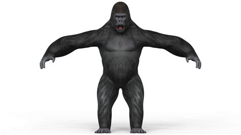 Gorilla 3d Model By Creativejungle