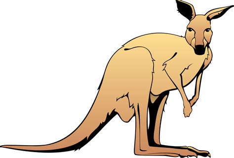 kangaroo clipart clip art library