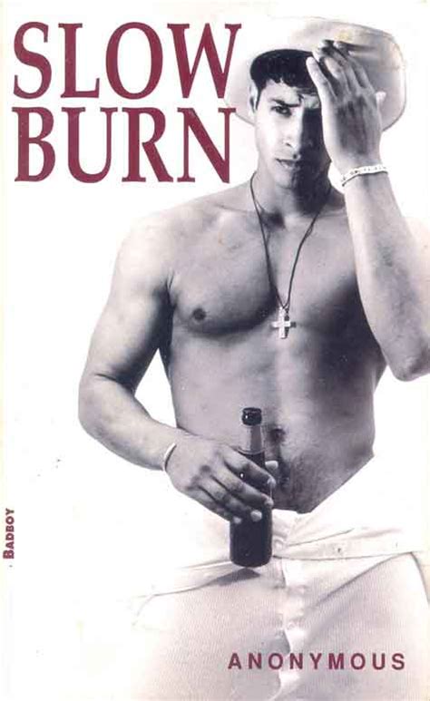 Random Images From The Golden Age Of The Gay Paperback Novel Aquadude Bunker