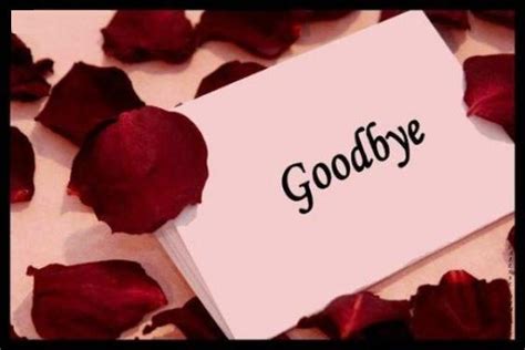 Good Bye My Love Desi Comments