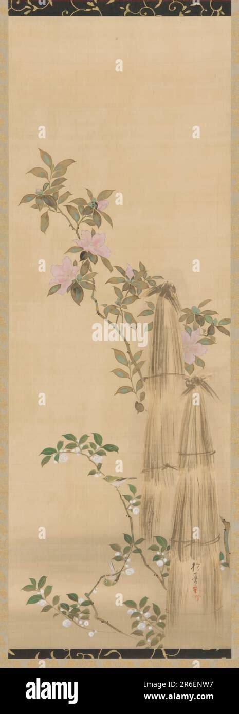 Fleurs Roses Et Blanches Et Couvertures De Paille Origine Japon