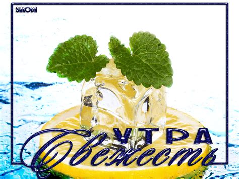 Свежесть утра - Мир картинок анимаций