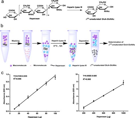 The Scheme Of Chemoenzymatic Quantification A The Digestion Of