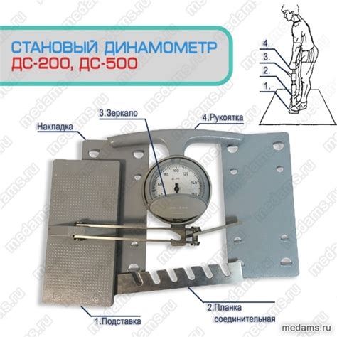 Динамометры (механический, электронный, становой)