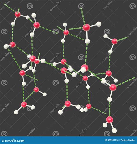 Hydrogen Bond Water Molecules Stock Illustration Image 55335123