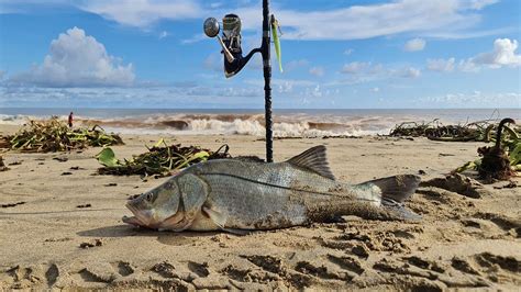 PESCA DE ORILLA PESCANDO ROBALO EN BARRA YouTube