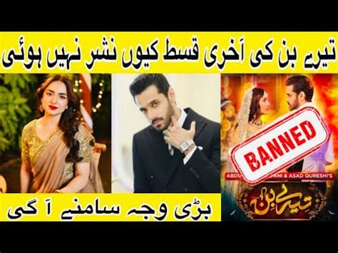 Tere Bin Last Episode Did Not Uploaded Why Shocking Reason Terebin